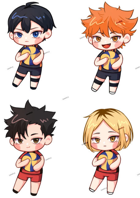 Haikyuu Fanmerch